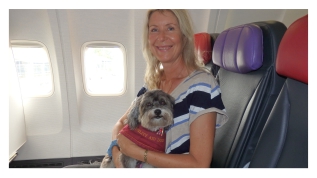 inflight therapy dog